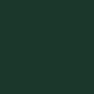 Egger U699 ST9 Fir Green decorative board