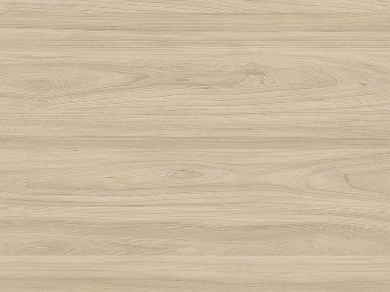 Kronospan 6596 SU Light Noble Elm decorative board