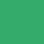 Swiss Krono U155 PE Emerald decorative board