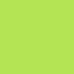 Swiss Krono U2504 PE Lime decorative board