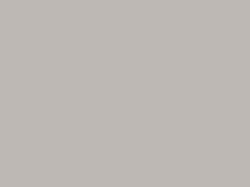 Senoplast CU306 AG Light Grey decorative board