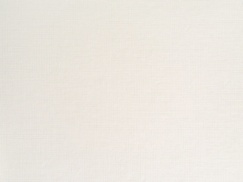 XyloCleaf B026 PENELOPE Bianco decorative board