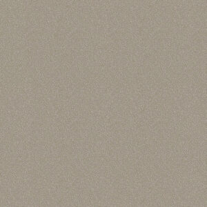 Senoplast CU69 AG Beige Metallic decorative board