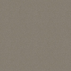 Senoplast LTM04 AM Beige Metallic decorative board