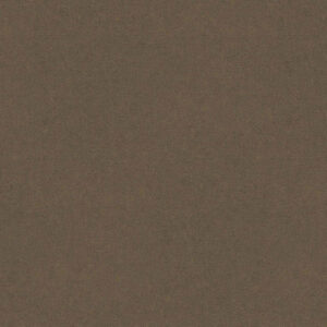 Swiss Krono D4213 TX Bronze decorative board