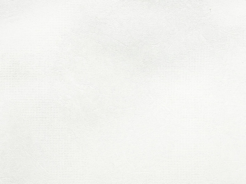 Swiss Krono D4214 TX White decorative board