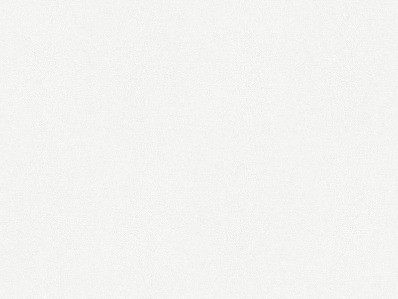 Swiss Krono D4214 TX White decorative board