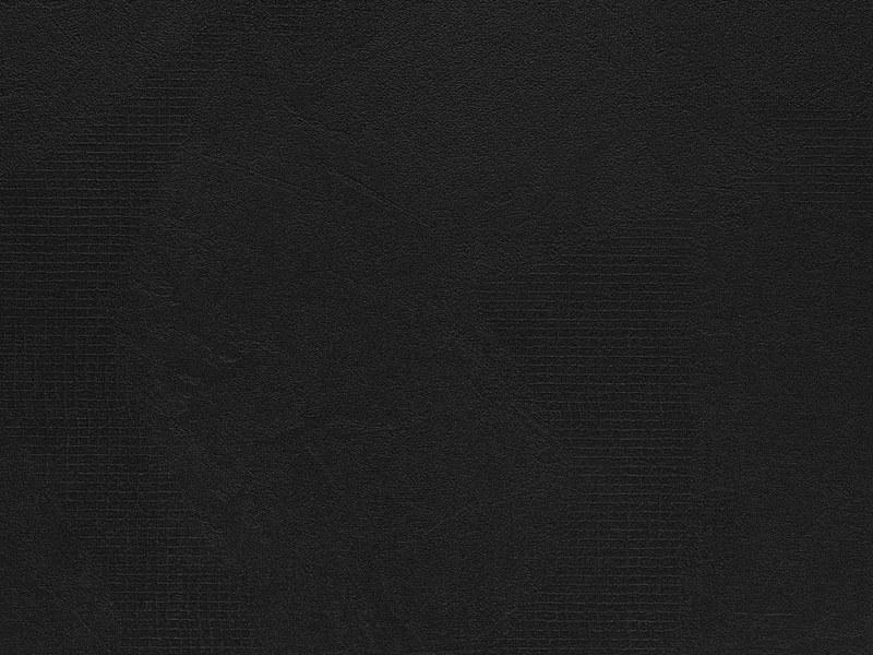 Swiss Krono U190 TX Black decorative board