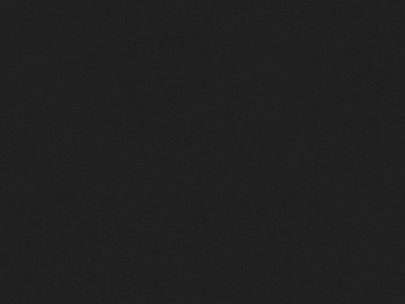 Swiss Krono U190 TX Black decorative board